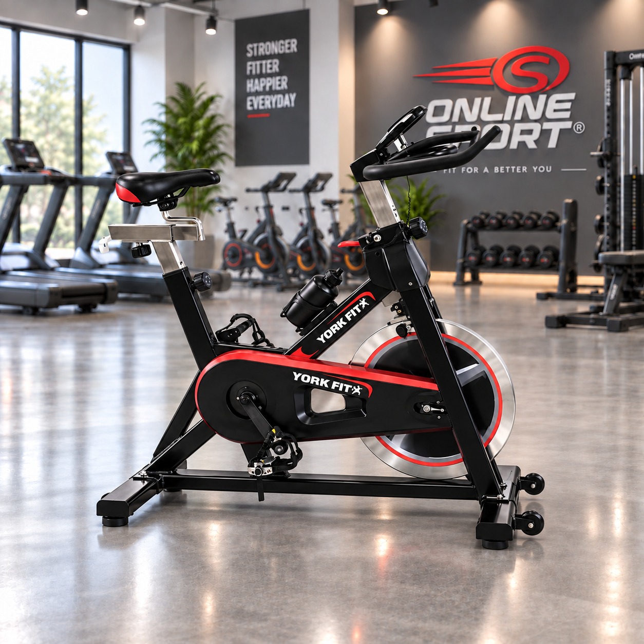BICICLETA SPINNING YORK vista 2