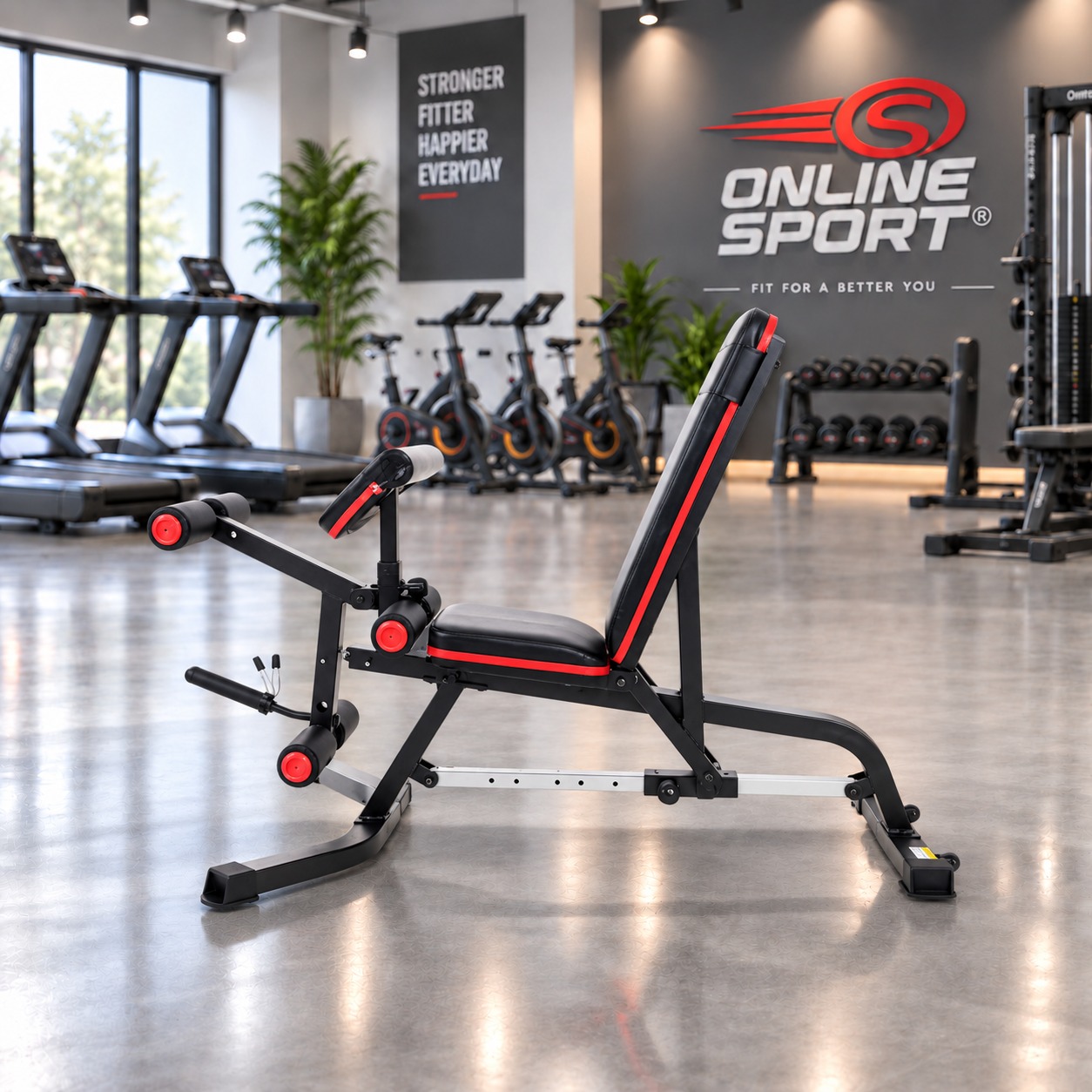 BANCA YORK GYM vista 2